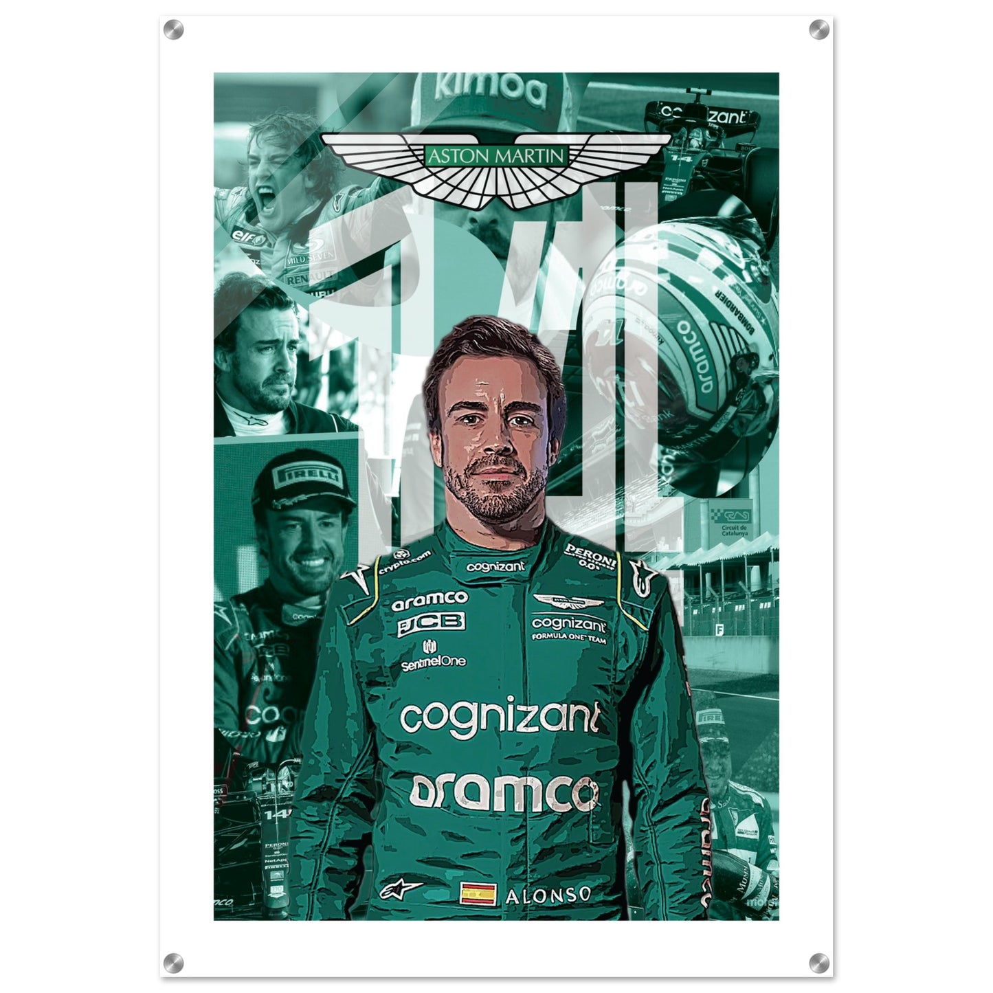 Fernando Alonso Custom Acrylic Print