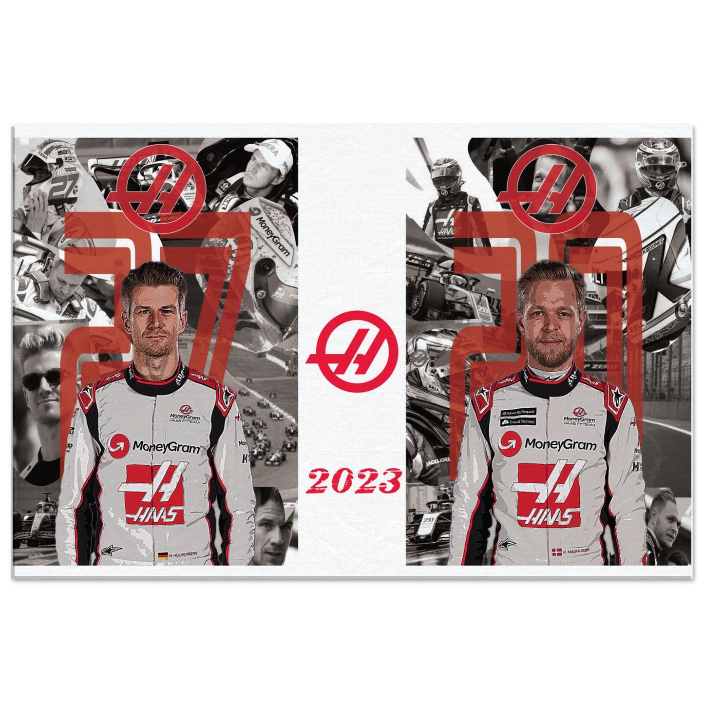 Haas 2023 Team Custom Canvas